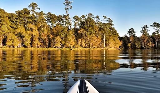Lake Conroe Beach Park